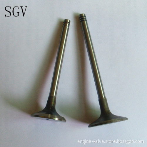 Original and New Truck/Tractor Engine Valves for DAEWOO/LADA/MAN